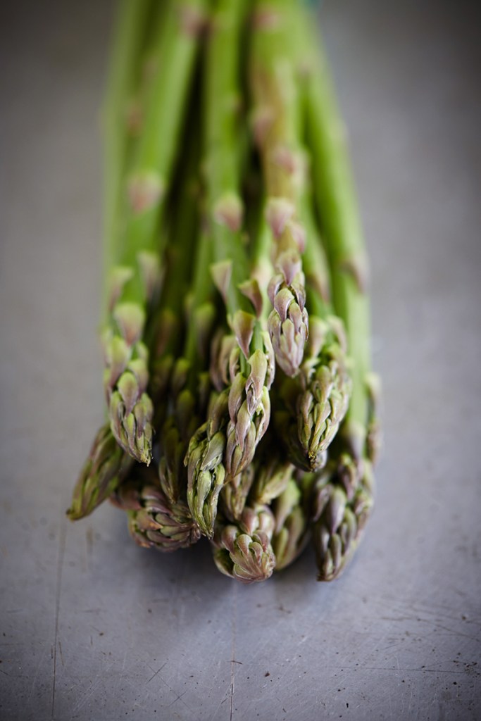Asparagus Veg Box StudySmall